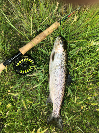 Summer Fishing Report