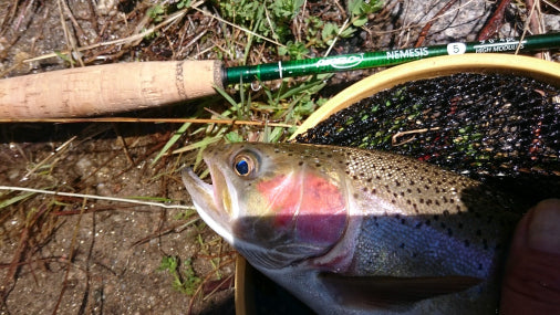 Australia: Fly Fishing for The Other Fish - Issuu